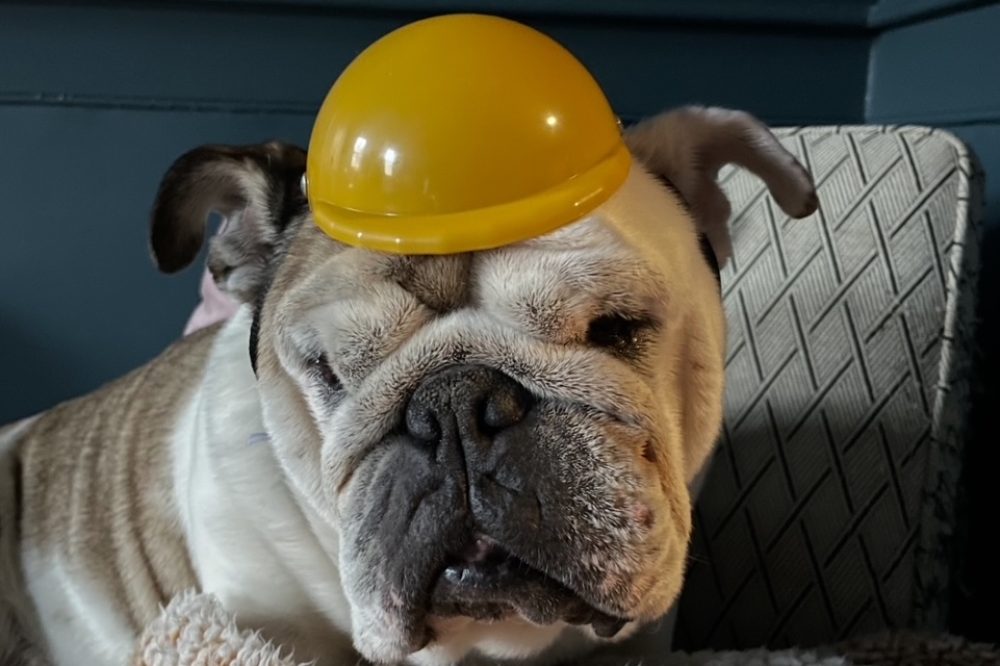 Screenshot 2025-12-03 at 10.03.23 AM